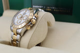 Rolex Cosmograph Daytona - White Dial - 126503 - 2024